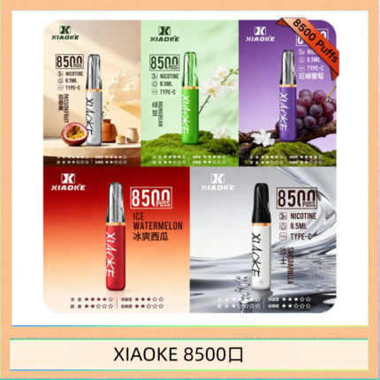 梟客XIAOKE一次性電子菸拋棄式8500口